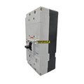NGH312032EV3
