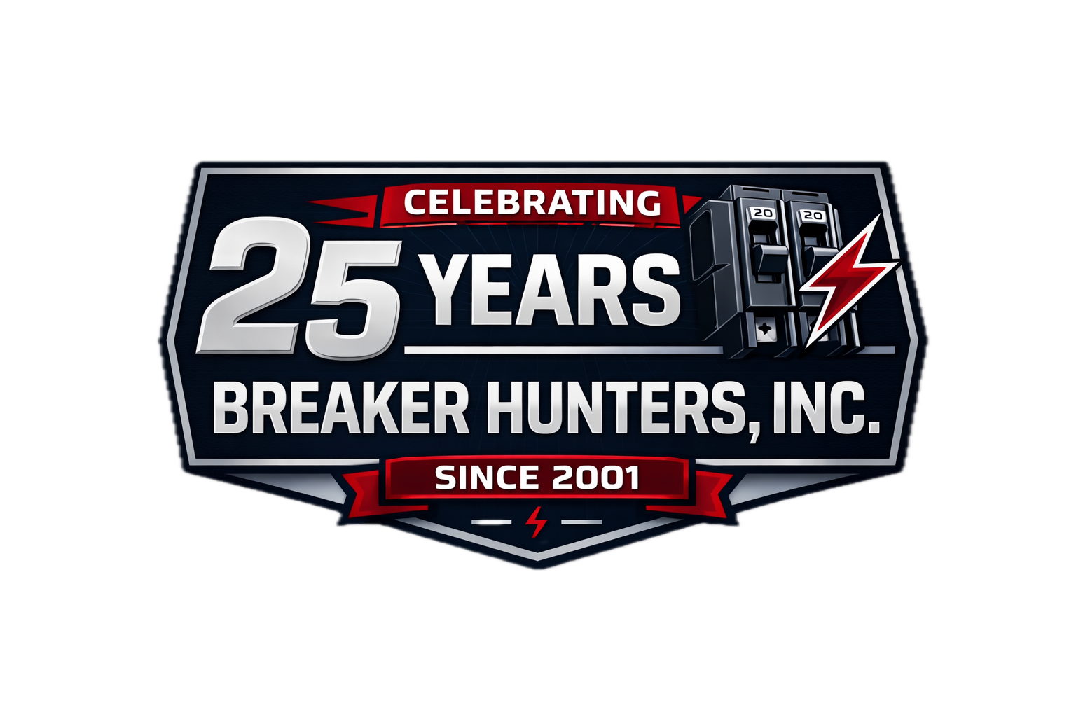 25 Years Logo